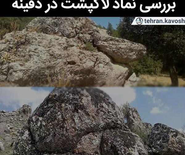 عکس لاک پشت در گنج یابی