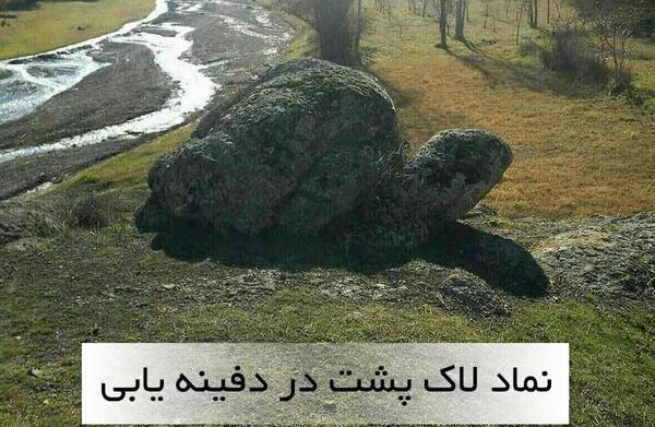 عکس لاک پشت در گنج یابی