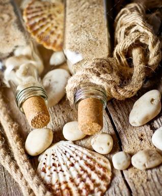 عکس پروفایل صدف دریایی