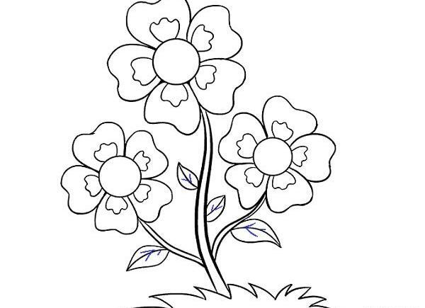 عکس ساده ی گل