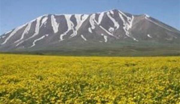 عکس زیبای طبیعت مراغه