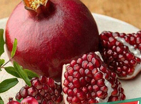 عکس یلدایی شیک