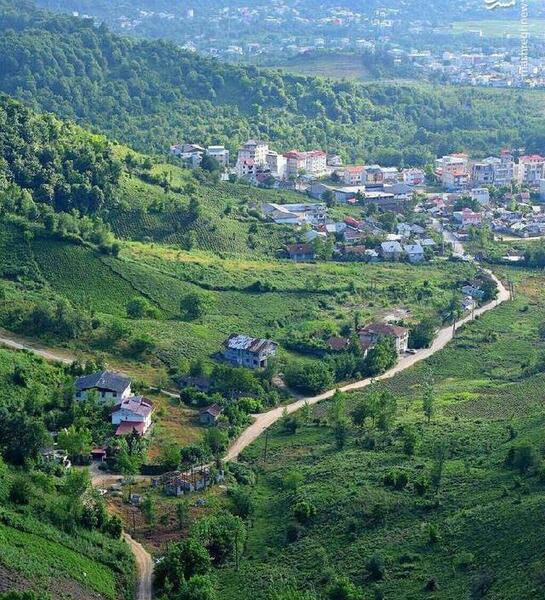 عکس زیبا طبیعت لاهیجان
