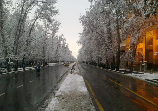 عکس بهار زمستانی