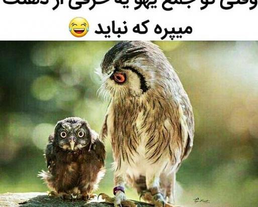 عکس سه بعدی خنده دار