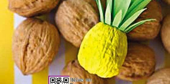 عکس کاردستی لاک پشت با پوست گردو