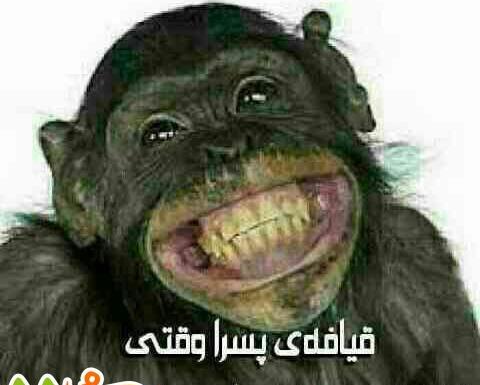 عکس میمون فانتزی