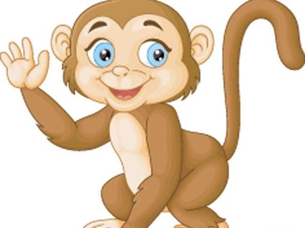 عکس میمون فانتزی