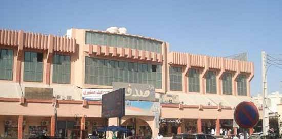 عکس صدف قشم