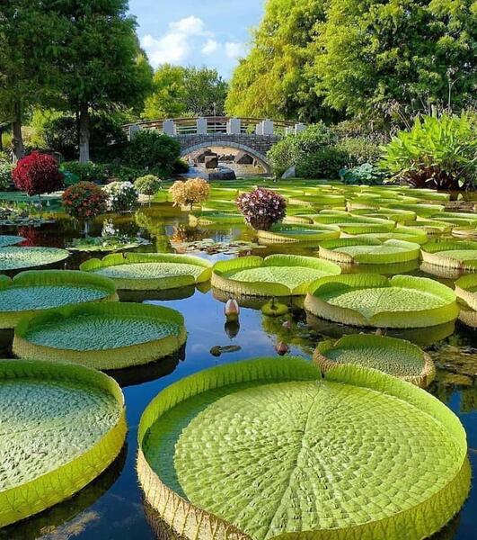 عکس زیبای طبیعت برای پس زمینه