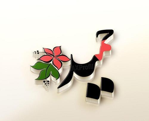 عکس نوشته ی حمید و فاطمه