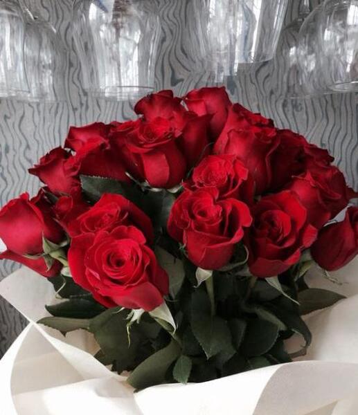 عکس رز رمانتیک