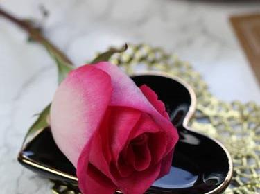 عکس رز رمانتیک