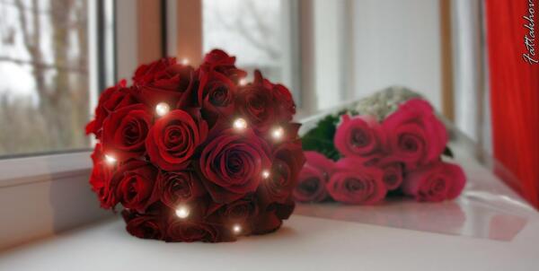 عکس ها گل های زیبا