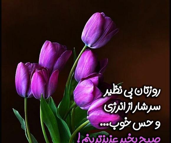 عکس نوشته صبح بهاری