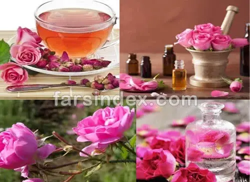 عکس چای گل سرخ