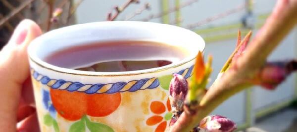 عکس چای گل سرخ