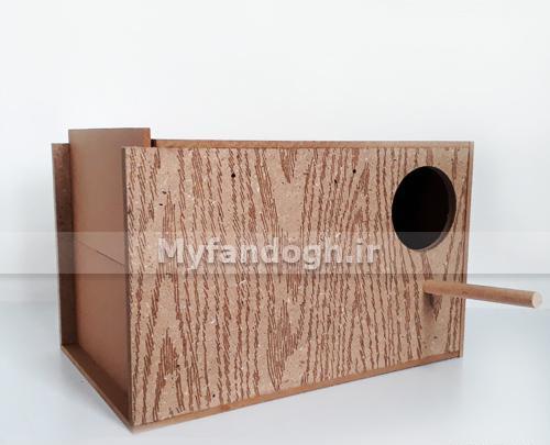 عکس لانه طوطی عروس