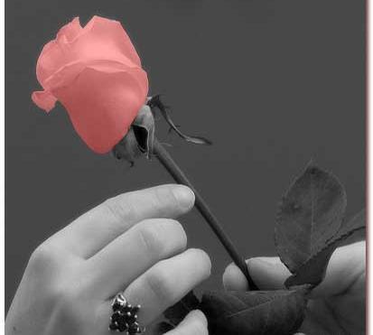 عکس ایده برای خرید هدیه روز مادر
