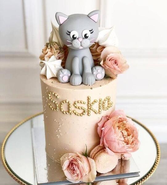 عکس کیک گربه