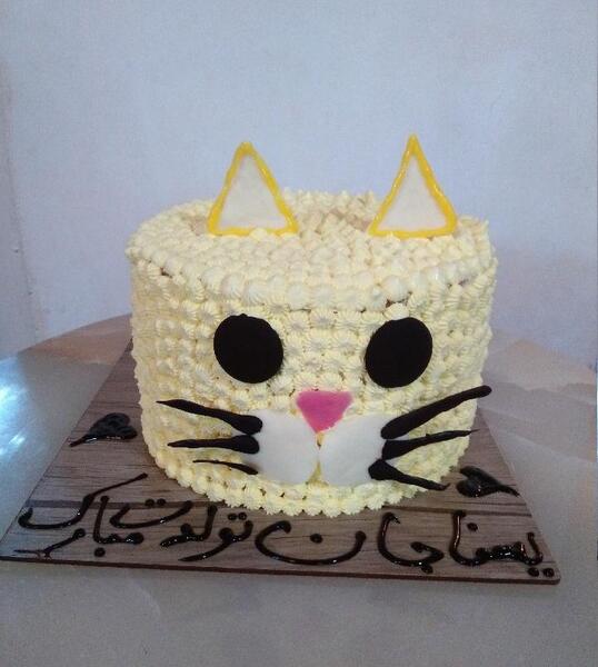 عکس کیک گربه