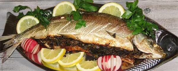 عکس غذا شمال
