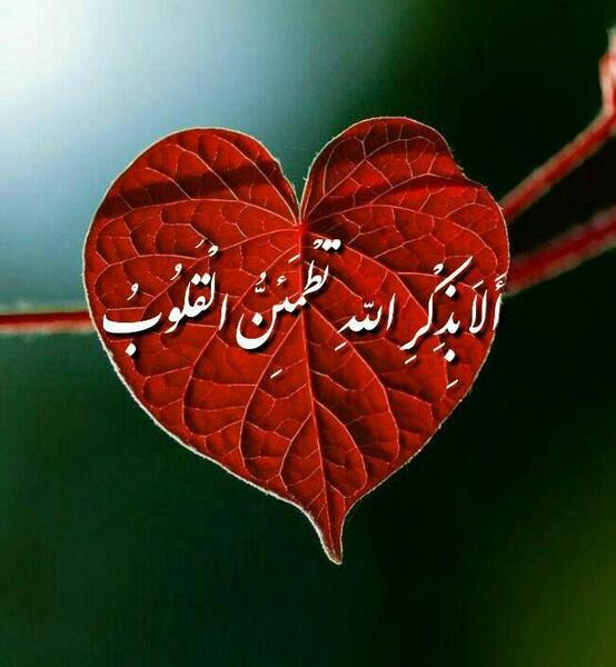 عکس نوشته علی بذکر الله تطمئن القلوب