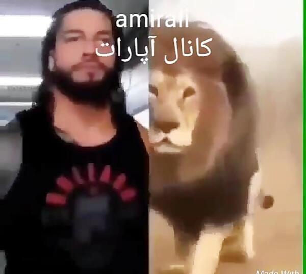عکس پیری رومن رینز