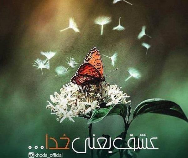 عکس خدا عشق