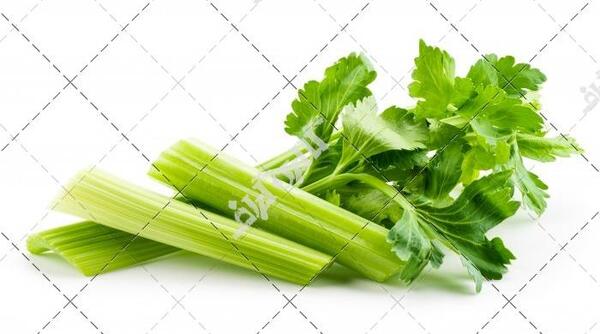 عکس کرفس برگی