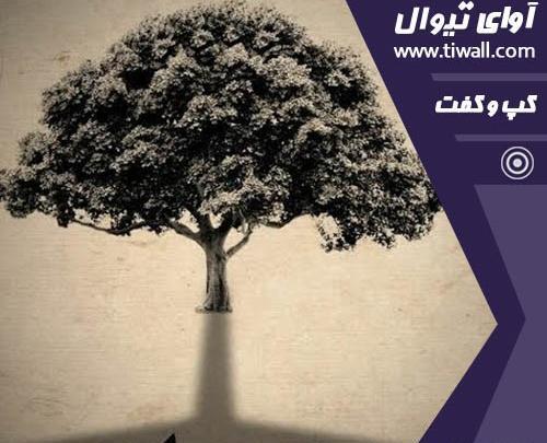 عکس دانیال شهریاری