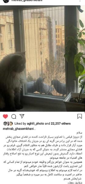 عکس سگ شقایق دهقان