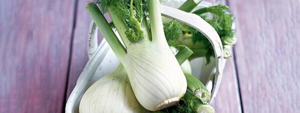 عکس چای نی نی سایت