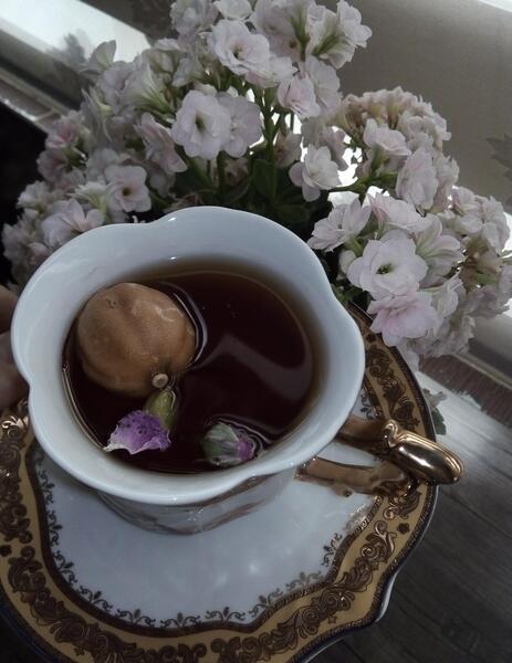عکس چای نی نی سایت