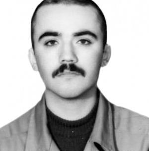عکسهای داوود تقوی