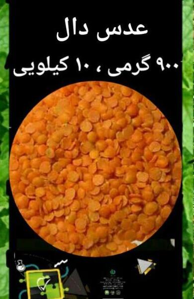 عکس نخود لپه