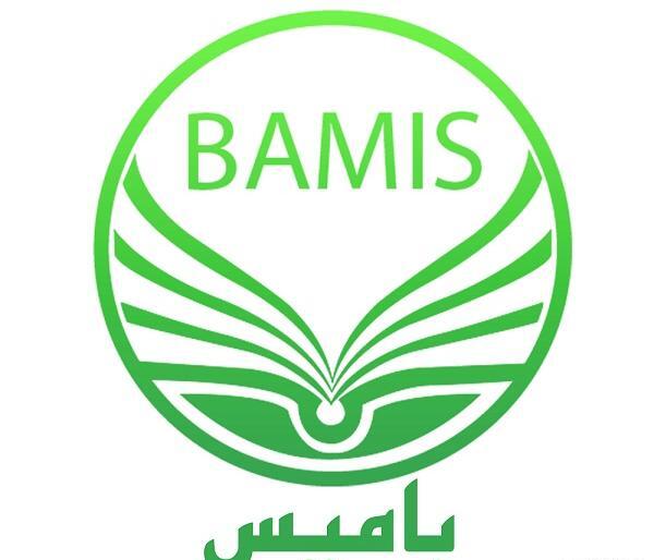 عکس امیرحسین برادران