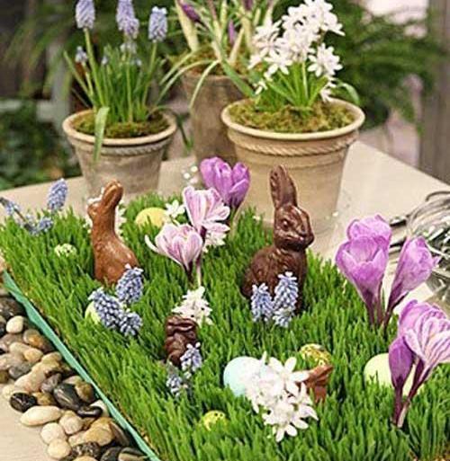 عکس تصاویر سبزه های عید