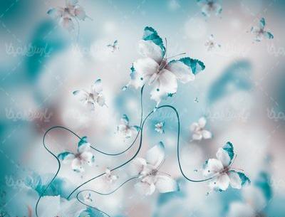 عکس پروانه فیروزه ای