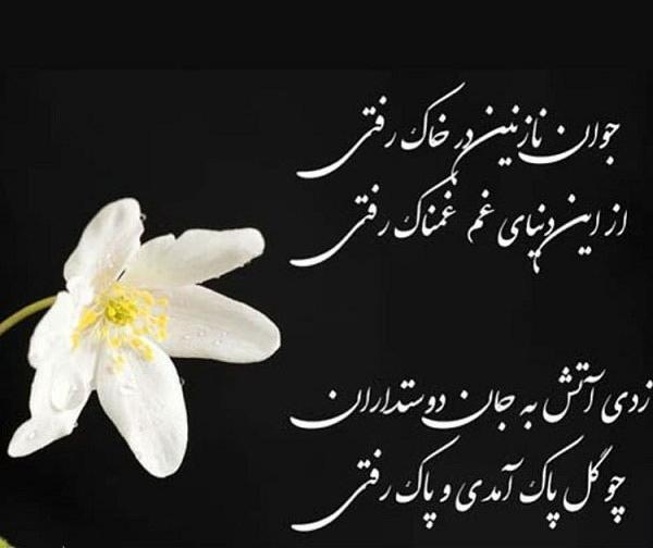 عکس نوشته دلتنگی برای عزیز از دست رفته