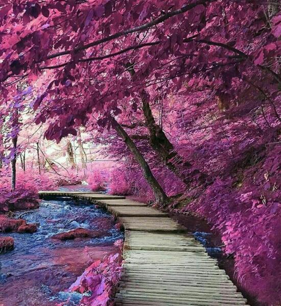 عکسهای زیبا از طبیعت خداوند