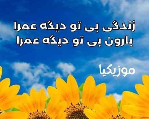 عکس از شایان قاسمی