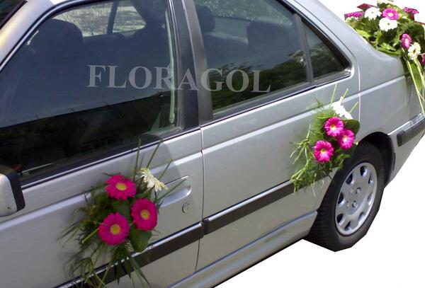 عکس ماشین عروس پژو پارس