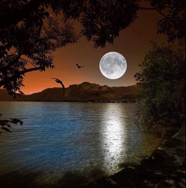 عکس منظره شب مهتابی