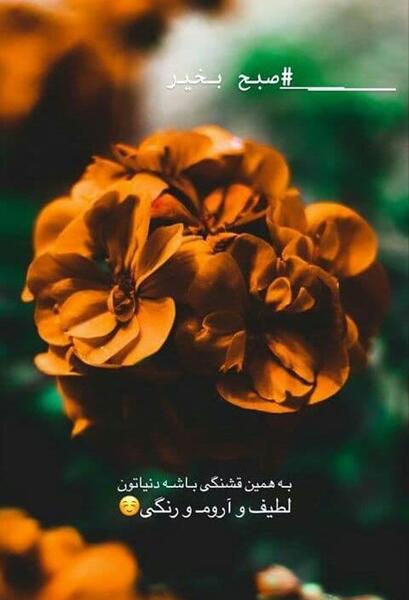 عکسهای صبح بخیر پنجشنبه