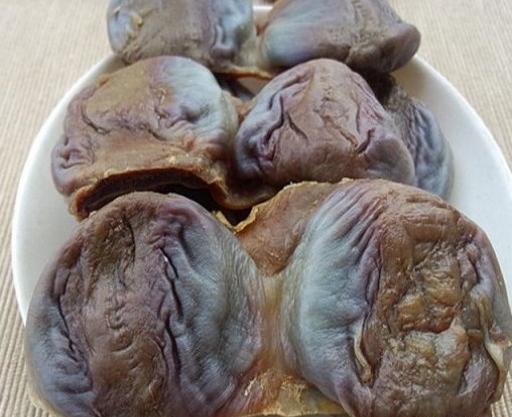 عکس چلو شتر