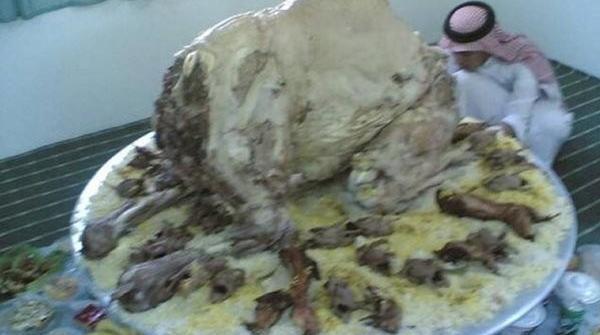 عکس چلو شتر