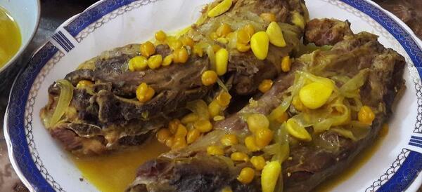 عکس چلو شتر