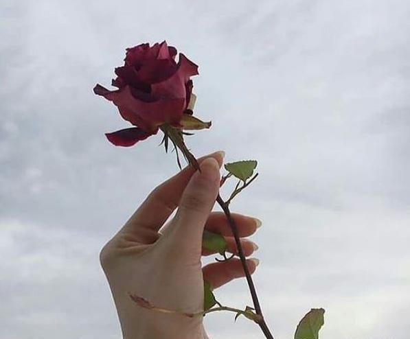 عکس پروف دخترونه گل
