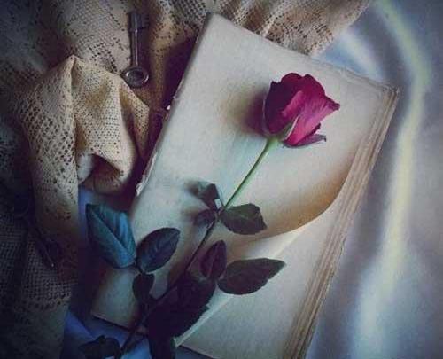 عکس پروف دخترونه گل
